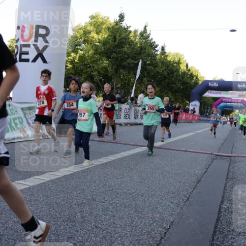 06.09.2026 - CURREX Alsterlauf Yannick Fuchs http://msf.ph/oto/10228648 06.09.2026 10:54:24 Ziel 179, 207, 238, 239, 240, 264, 270, 278, 284, 285, 304, 318, 329, 357, 361, 365, 372, 387, 390, 399, 417, 431, 436, 440, 444, 449, 8087, 8174 meine-sportfotos.de