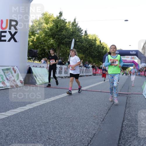 06.09.2026 - CURREX Alsterlauf Yannick Fuchs http://msf.ph/oto/10228663 06.09.2026 10:54:29 Ziel 162, 179, 207, 239, 240, 278, 284, 285, 297, 304, 318, 326, 329, 333, 343, 357, 361, 372, 387, 390, 456, 8343 meine-sportfotos.de