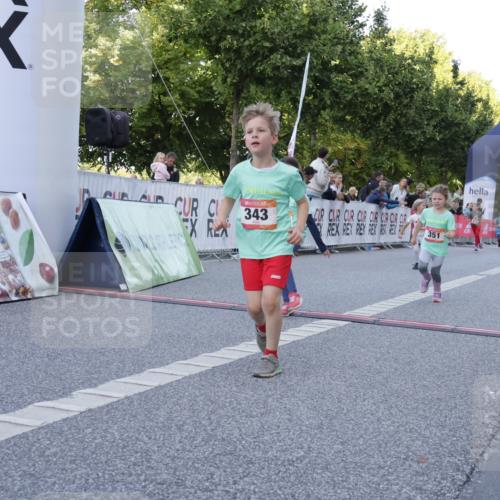 06.09.2026 - CURREX Alsterlauf Yannick Fuchs http://msf.ph/oto/10228681 06.09.2026 10:54:34 Ziel 162, 212, 267, 297, 304, 318, 326, 333, 343, 351, 361, 367, 387, 456, 8343 meine-sportfotos.de