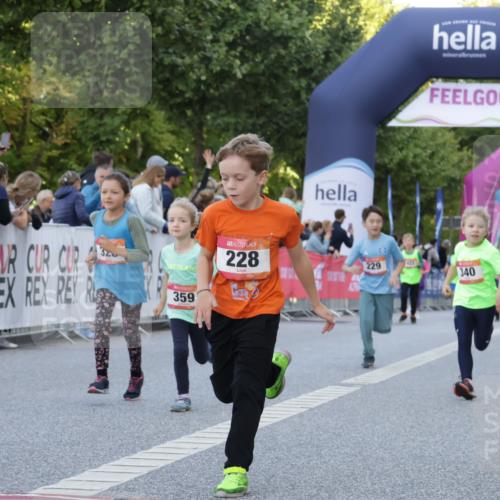 06.09.2026 - CURREX Alsterlauf Yannick Fuchs http://msf.ph/oto/10228698 06.09.2026 10:54:39 Ziel 212, 228, 229, 267, 297, 328, 340, 343, 351, 359, 367, 457, 8343 meine-sportfotos.de
