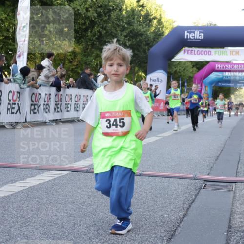 06.09.2026 - CURREX Alsterlauf Yannick Fuchs http://msf.ph/oto/10228720 06.09.2026 10:54:47 Ziel 228, 229, 315, 322, 328, 340, 345, 359, 382, 398, 423, 457, 8287 meine-sportfotos.de