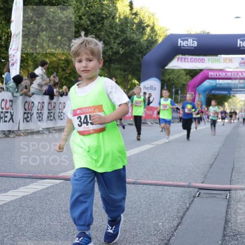 06.09.2026 - CURREX Alsterlauf Yannick Fuchs http://msf.ph/oto/10228721 06.09.2026 10:54:47 Ziel 228, 229, 315, 322, 328, 340, 345, 359, 382, 398, 423, 457, 8287 meine-sportfotos.de