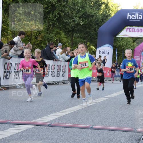 06.09.2026 - CURREX Alsterlauf Yannick Fuchs http://msf.ph/oto/10228724 06.09.2026 10:54:49 Ziel 229, 234, 315, 322, 328, 340, 345, 359, 382, 398, 423, 8287 meine-sportfotos.de