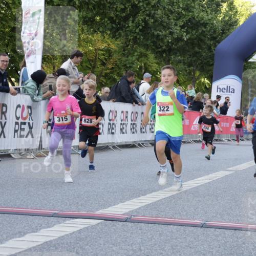 06.09.2026 - CURREX Alsterlauf Yannick Fuchs http://msf.ph/oto/10228726 06.09.2026 10:54:49 Ziel 229, 234, 315, 322, 328, 340, 345, 359, 382, 398, 423, 8287 meine-sportfotos.de