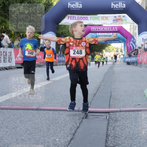 06.09.2026 - CURREX Alsterlauf Yannick Fuchs http://msf.ph/oto/10228824 06.09.2026 10:55:41 Ziel 220, 237, 248, 295, 305, 335, 342, 344, 410, 8169 meine-sportfotos.de