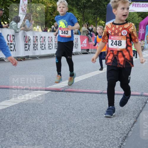 06.09.2026 - CURREX Alsterlauf Yannick Fuchs http://msf.ph/oto/10228826 06.09.2026 10:55:42 Ziel 237, 248, 295, 305, 335, 342, 344, 410, 8169 meine-sportfotos.de