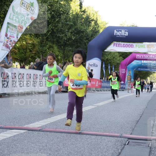 06.09.2026 - CURREX Alsterlauf Yannick Fuchs http://msf.ph/oto/10228839 06.09.2026 10:55:53 Ziel 245, 331, 366, 395 meine-sportfotos.de