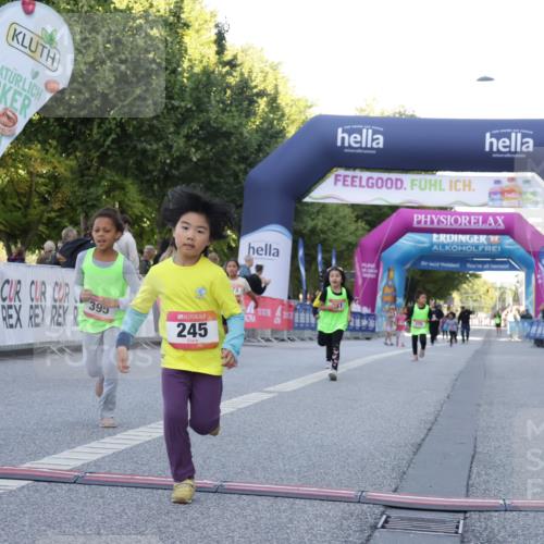 06.09.2026 - CURREX Alsterlauf Yannick Fuchs http://msf.ph/oto/10228840 06.09.2026 10:55:53 Ziel 245, 331, 366, 395 meine-sportfotos.de