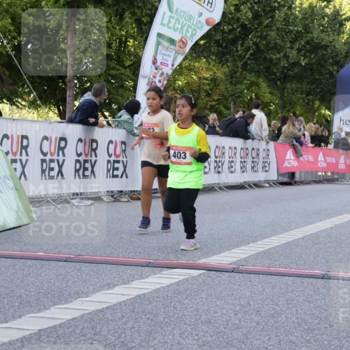 06.09.2026 - CURREX Alsterlauf Yannick Fuchs http://msf.ph/oto/10228846 06.09.2026 10:55:57 Ziel 245, 331, 366, 373, 395, 403 meine-sportfotos.de