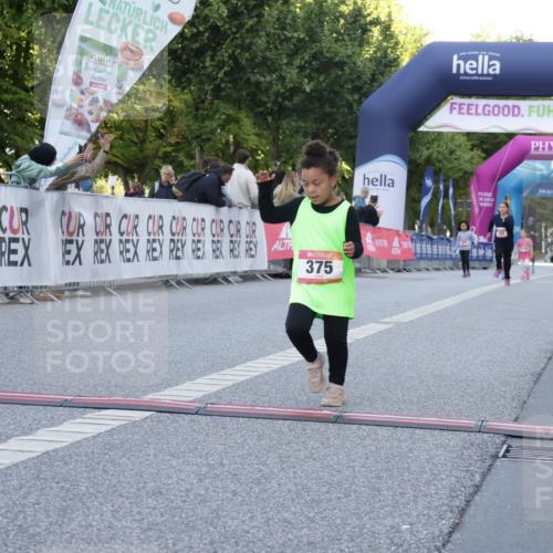 06.09.2026 - CURREX Alsterlauf Yannick Fuchs http://msf.ph/oto/10228852 06.09.2026 10:56:02 Ziel 331, 373, 375, 395, 403 meine-sportfotos.de