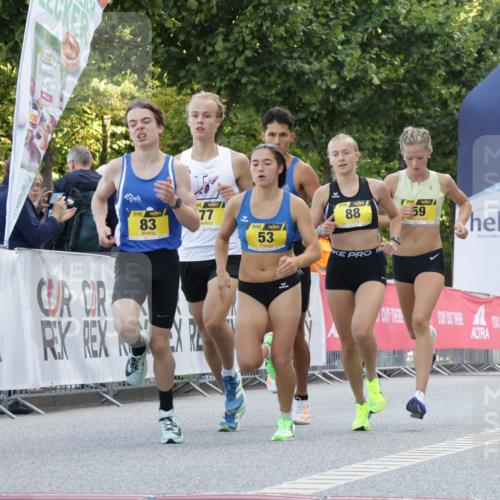 06.09.2026 - CURREX Alsterlauf Yannick Fuchs http://msf.ph/oto/10228968 06.09.2026 11:04:21 Ziel 51, 53, 59, 67, 77, 80, 83, 85, 88, 1074 meine-sportfotos.de