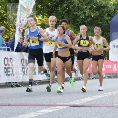 06.09.2026 - CURREX Alsterlauf Yannick Fuchs http://msf.ph/oto/10228969 06.09.2026 11:04:21 Ziel 51, 53, 59, 67, 77, 80, 83, 85, 88, 1074 meine-sportfotos.de