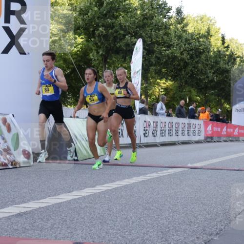 06.09.2026 - CURREX Alsterlauf Yannick Fuchs http://msf.ph/oto/10229083 06.09.2026 11:07:57 Ziel 53, 59, 77, 83, 85, 88 meine-sportfotos.de