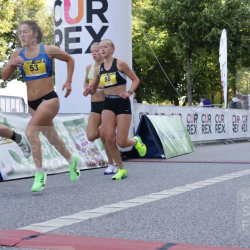 06.09.2026 - CURREX Alsterlauf Yannick Fuchs http://msf.ph/oto/10229086 06.09.2026 11:07:58 Ziel 53, 59, 77, 83, 85, 88 meine-sportfotos.de