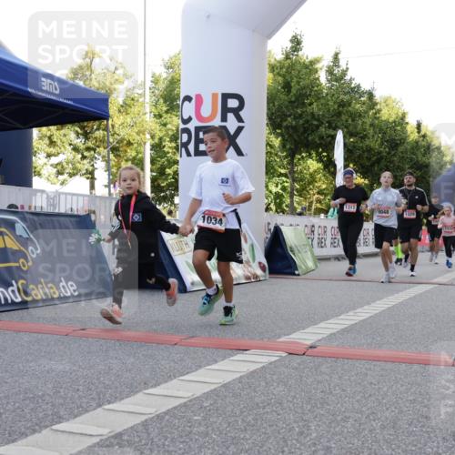 06.09.2026 - CURREX Alsterlauf Yannick Fuchs http://msf.ph/oto/10230226 06.09.2026 11:53:20 Ziel 1026, 1034, 1095, 1096, 1114, 1115, 1130, 1317, 1329, 8048 meine-sportfotos.de