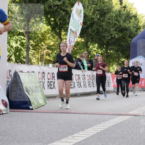 06.09.2026 - CURREX Alsterlauf Yannick Fuchs http://msf.ph/oto/10230536 06.09.2026 11:54:59 Ziel 1013, 1097, 1134, 1177, 1238, 1245 meine-sportfotos.de