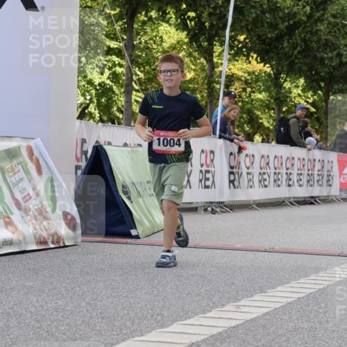 06.09.2026 - CURREX Alsterlauf Yannick Fuchs http://msf.ph/oto/10230660 06.09.2026 11:55:48 Ziel 1004, 1005, 1149, 1203, 1234, 1284, 1286, 1288, 1296, 1326 meine-sportfotos.de