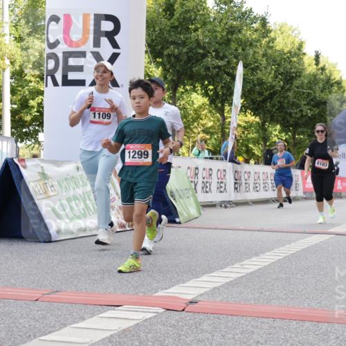 06.09.2026 - CURREX Alsterlauf Yannick Fuchs http://msf.ph/oto/10230695 06.09.2026 11:56:01 Ziel 1072, 1109, 1110, 1299, 1320, 1344, 8042, 8103, 8251, 8346 meine-sportfotos.de