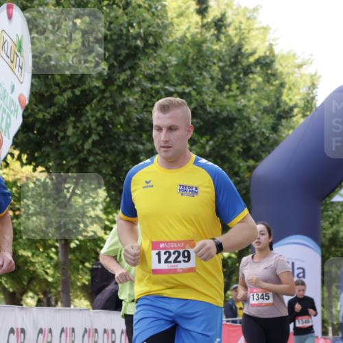 06.09.2026 - CURREX Alsterlauf Yannick Fuchs http://msf.ph/oto/10231035 06.09.2026 11:57:10 Ziel 1067, 1228, 1229, 1282, 1292, 1345, 8284 meine-sportfotos.de