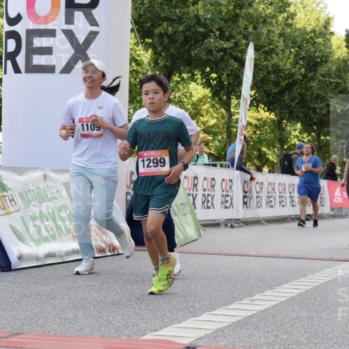 06.09.2026 - CURREX Alsterlauf Yannick Fuchs http://msf.ph/oto/10231223 06.09.2026 11:56:01 Ziel 1072, 1109, 1110, 1299, 1320, 1344, 8042, 8103, 8251, 8346 meine-sportfotos.de