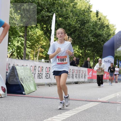 06.09.2026 - CURREX Alsterlauf Yannick Fuchs http://msf.ph/oto/10231704 06.09.2026 11:59:08 Ziel 1081, 1130, 1200, 1240, 1254, 1333, 8070 meine-sportfotos.de