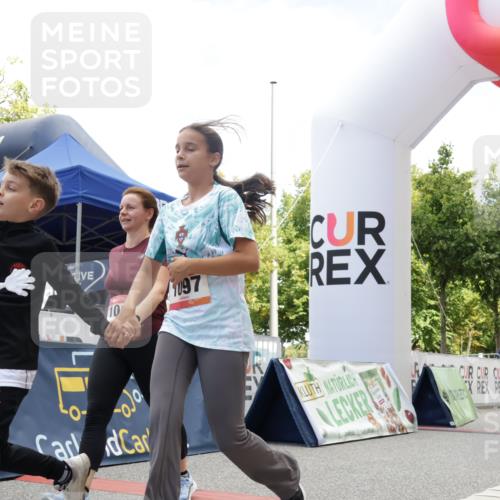 06.09.2026 - CURREX Alsterlauf Yannick Fuchs http://msf.ph/oto/10231977 06.09.2026 12:00:51 Ziel 1013, 1097, 1280 meine-sportfotos.de