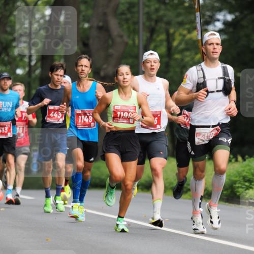 13.09.2026 - 21. swb-Marathon Bremen TobiasT http://msf.ph/oto/10242209 13.09.2026 11:21:44 Laufen 443, 513, 56, 1149, 119 meine-sportfotos.de