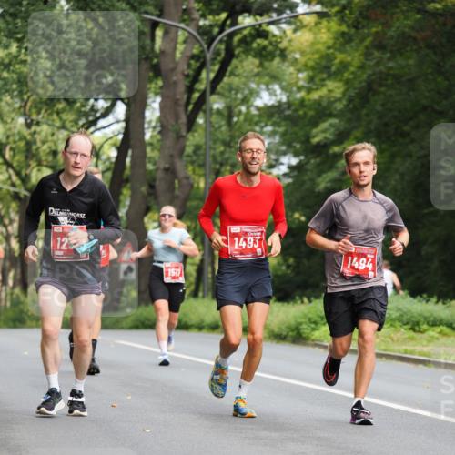 13.09.2026 - 21. swb-Marathon Bremen TobiasT http://msf.ph/oto/10243909 13.09.2026 11:43:46 Laufen 12, 1517, 1493, 1494 meine-sportfotos.de