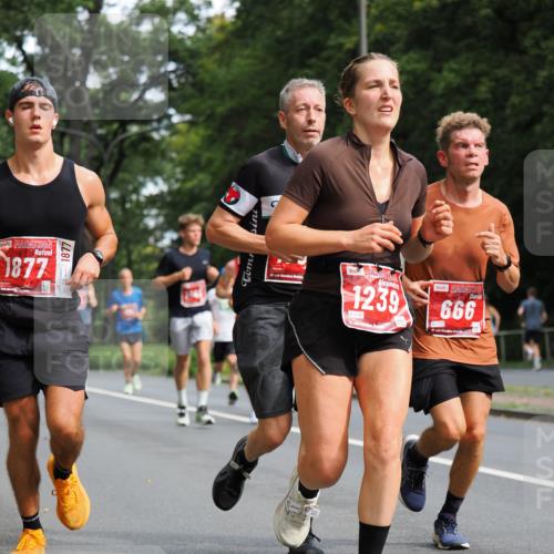 13.09.2026 - 21. swb-Marathon Bremen TobiasT http://msf.ph/oto/10244504 13.09.2026 11:50:01 Laufen 1877, 1877, 1239, 0196, 666 meine-sportfotos.de
