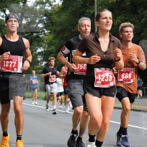 13.09.2026 - 21. swb-Marathon Bremen TobiasT http://msf.ph/oto/10244508 13.09.2026 11:50:01 Laufen 1877, 1877, 159, 21, 1239, 0196, 21, 26, 666 meine-sportfotos.de