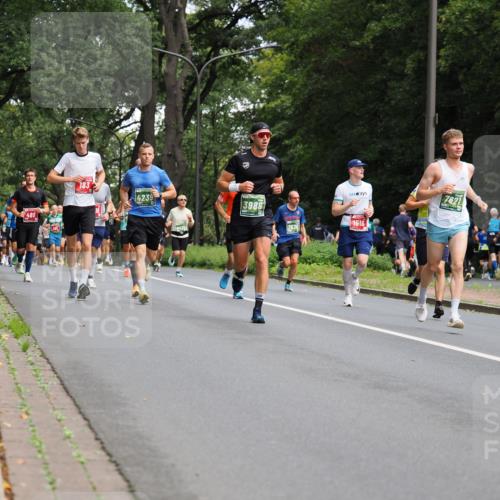 13.09.2026 - 21. swb-Marathon Bremen TobiasT http://msf.ph/oto/10244907 13.09.2026 11:53:11 Laufen 488, 183, 4239, 3988, 7636, 7621, 1516 meine-sportfotos.de