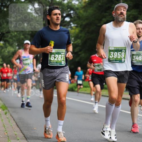 13.09.2026 - 21. swb-Marathon Bremen TobiasT http://msf.ph/oto/10244953 13.09.2026 11:53:30 Laufen 6267, 21, 3424, 3959, 21, 346 meine-sportfotos.de