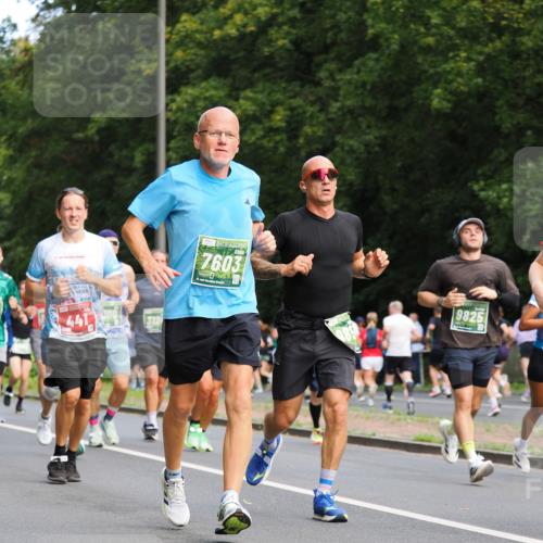 13.09.2026 - 21. swb-Marathon Bremen TobiasT http://msf.ph/oto/10245633 13.09.2026 11:58:24 Laufen 441, 7603, 9825 meine-sportfotos.de