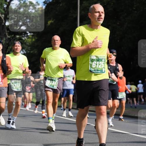 13.09.2026 - 21. swb-Marathon Bremen TobiasT http://msf.ph/oto/10246472 13.09.2026 12:01:37 Laufen 357, 6125, 21, 26 meine-sportfotos.de