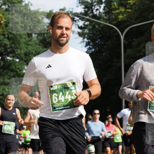 13.09.2026 - 21. swb-Marathon Bremen TobiasT http://msf.ph/oto/10246763 13.09.2026 12:02:58 Laufen 6147, 6443, 26, 21 meine-sportfotos.de