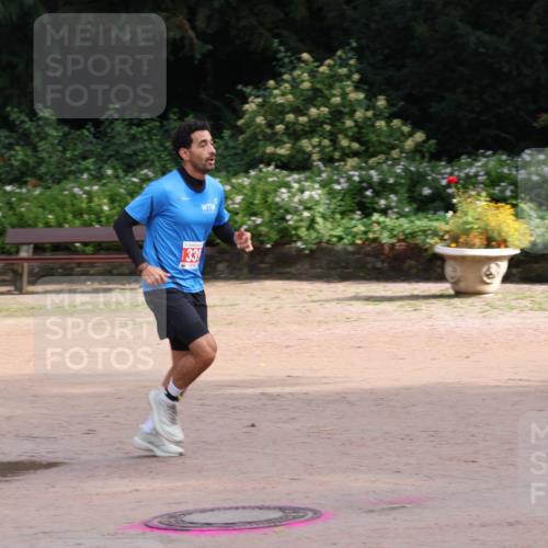 13.09.2026 - Stadtparktriathlon Emre Sener http://msf.ph/oto/10263307 13.09.2026 10:51:46 Laufen 133, 311, 339 meine-sportfotos.de