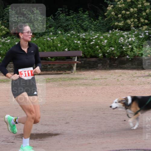 13.09.2026 - Stadtparktriathlon Emre Sener http://msf.ph/oto/10263316 13.09.2026 10:52:06 Laufen 311, 311 meine-sportfotos.de
