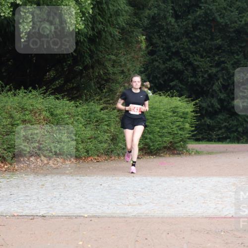 13.09.2026 - Stadtparktriathlon Emre Sener http://msf.ph/oto/10263600 13.09.2026 11:03:16 Laufen 43, 243 meine-sportfotos.de