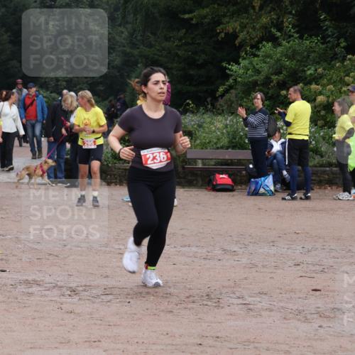 13.09.2026 - Stadtparktriathlon Emre Sener http://msf.ph/oto/10263687 13.09.2026 11:05:47 Laufen 295, 295, 236, 233, 234, 236, 254, 295, 332 meine-sportfotos.de