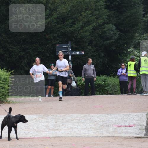 13.09.2026 - Stadtparktriathlon Emre Sener http://msf.ph/oto/10263709 13.09.2026 11:06:59 Laufen 246, 246 meine-sportfotos.de