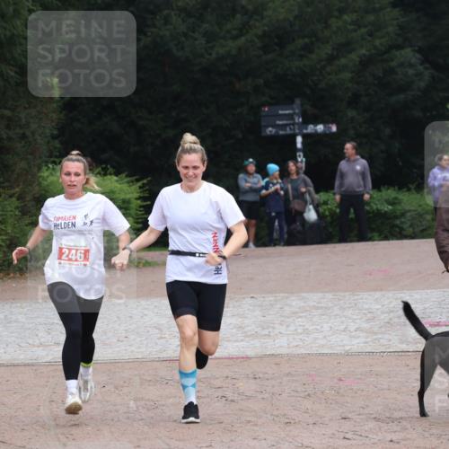 13.09.2026 - Stadtparktriathlon Emre Sener http://msf.ph/oto/10263714 13.09.2026 11:07:06 Laufen 246, 246 meine-sportfotos.de