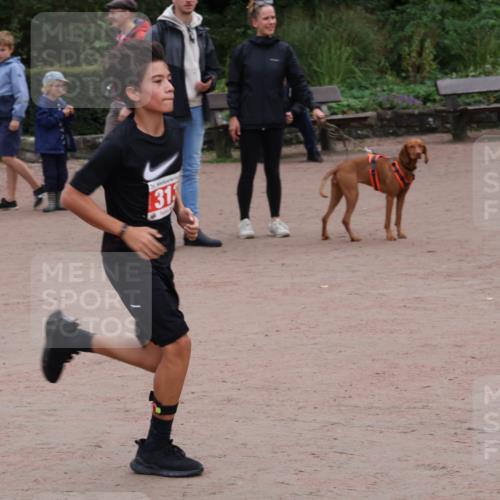 13.09.2026 - Stadtparktriathlon Emre Sener http://msf.ph/oto/10263798 13.09.2026 11:12:42 Laufen 31, 294, 313, 319 meine-sportfotos.de