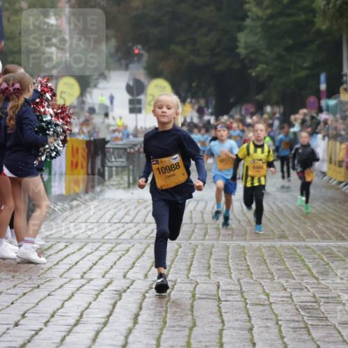 13.09.2026 - Kiel Lauf Yannick Fuchs http://msf.ph/oto/10270725 13.09.2026 08:33:10 Ziel 6073, 6484, 10988 meine-sportfotos.de