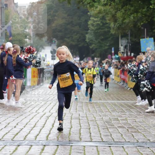 13.09.2026 - Kiel Lauf Yannick Fuchs http://msf.ph/oto/10270732 13.09.2026 08:33:11 Ziel 6073, 6484, 10988 meine-sportfotos.de