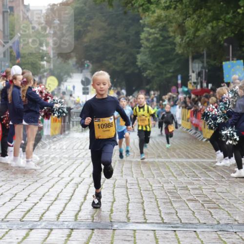 13.09.2026 - Kiel Lauf Yannick Fuchs http://msf.ph/oto/10270735 13.09.2026 08:33:12 Ziel 6073, 6484, 6698, 10988 meine-sportfotos.de