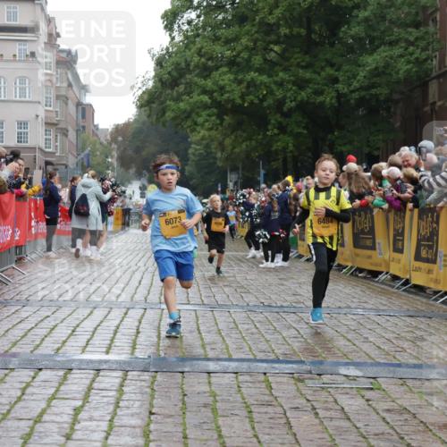 13.09.2026 - Kiel Lauf Yannick Fuchs http://msf.ph/oto/10270757 13.09.2026 08:33:17 Ziel 6073, 6484, 6698, 7959, 10988 meine-sportfotos.de