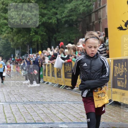13.09.2026 - Kiel Lauf Yannick Fuchs http://msf.ph/oto/10270831 13.09.2026 08:33:24 Ziel 6073, 6484, 10988, 1711, 3220, 6698, 7959, 11404 meine-sportfotos.de