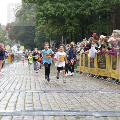 13.09.2026 - Kiel Lauf Yannick Fuchs http://msf.ph/oto/10270861 13.09.2026 08:33:27 Ziel 6073, 6484, 6698, 10988, 1711, 3220, 7959, 8654, 11404 meine-sportfotos.de