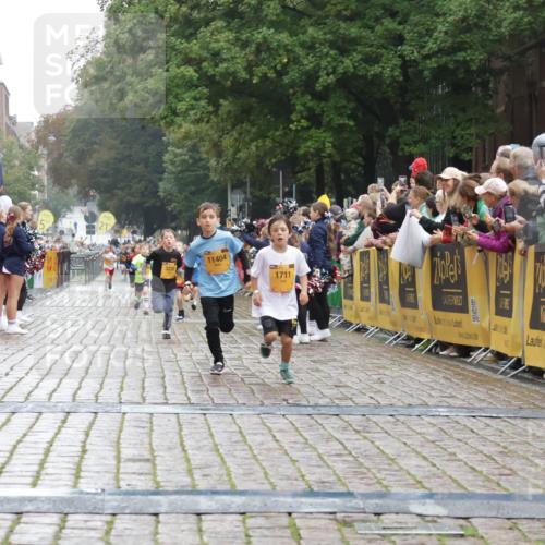 13.09.2026 - Kiel Lauf Yannick Fuchs http://msf.ph/oto/10270864 13.09.2026 08:33:27 Ziel 6073, 6484, 6698, 10988, 1711, 3220, 7959, 8654, 11404 meine-sportfotos.de