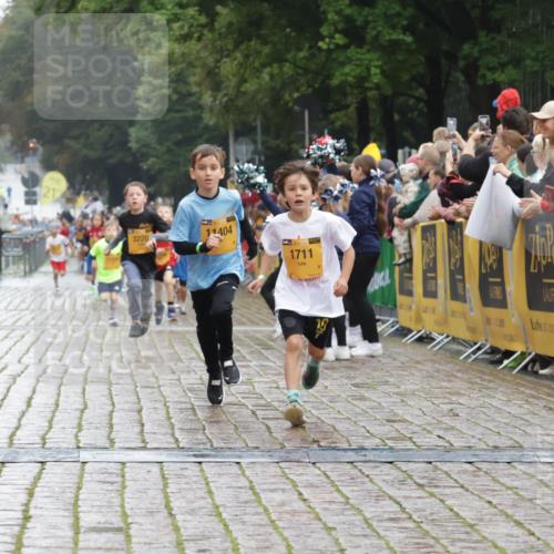 13.09.2026 - Kiel Lauf Yannick Fuchs http://msf.ph/oto/10270867 13.09.2026 08:33:27 Ziel 6073, 6484, 6698, 10988, 1711, 3220, 7959, 8654, 11404 meine-sportfotos.de
